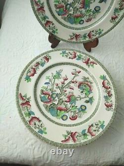 Vintage Lot of 8 Indian Tree Dinner Plates Johnson Brothers Green 10