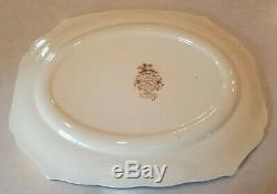 Vintage RARE HARVEST PATTERN Windsor Ware Johnson Brothers. SERVING TRAYMINT