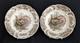 Vtg. Rare (2) Johnson Bros Wild Turkey Windsor Ware 8 Salad Plates Nice