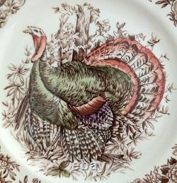 Vtg. RARE (2) Johnson Bros WILD TURKEY Windsor Ware 8 SALAD PLATES NICE